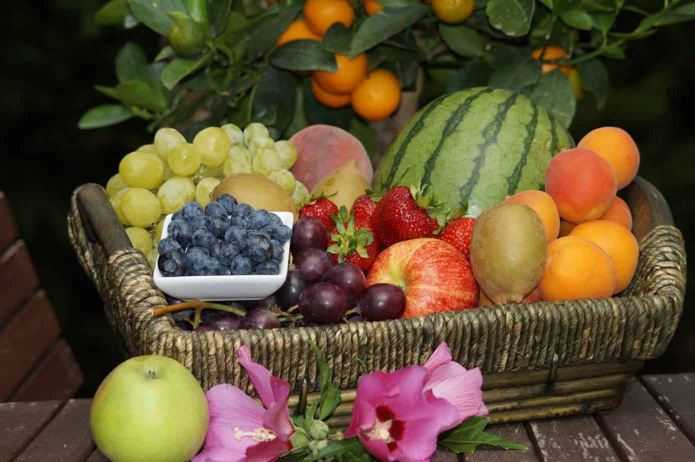 basket of a variety of fresh fruit